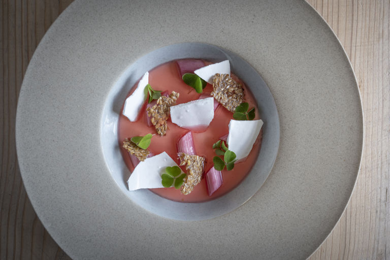 Toasted barley set cream with rhubarb and linseed