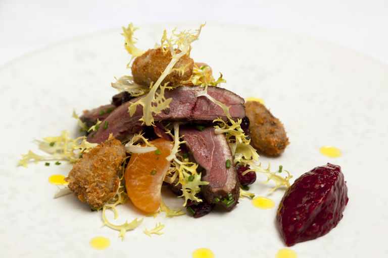 Smoked mallard salad with crispy duck heart croutons, clementine and cranberry relish 