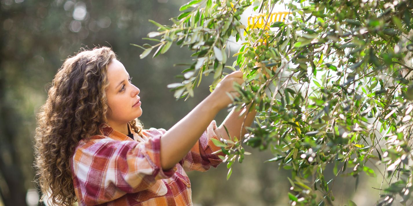 Carapelli Olive Oil - Great Italian Chefs