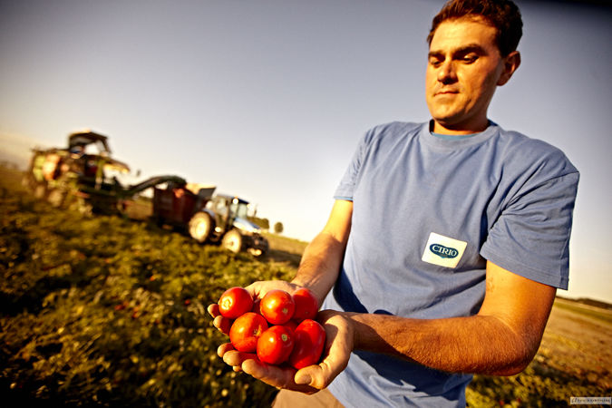 Cirio Italy s Favourite Tomatoes Great British Chefs