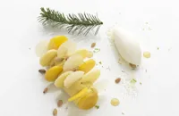 Mango crème douglas-fir and yoghurt sorbet, white cookie dough