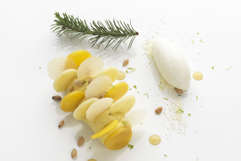 Mango crème douglas-fir and yoghurt sorbet, white cookie dough