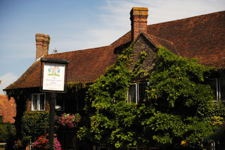 The Terrace at The Montagu Arms review