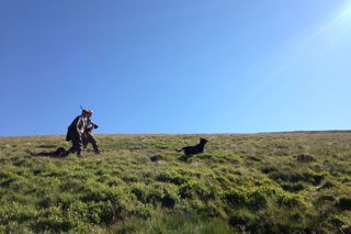 The Glorious Twelfth