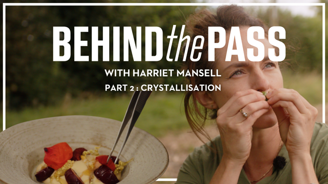 Harriet Mansell Behind the Pass 2 full vid