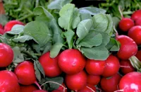 5 ways with radishes