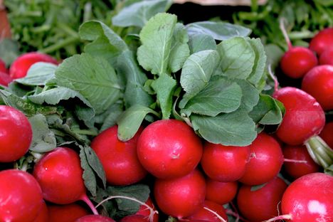 5 ways with radishes