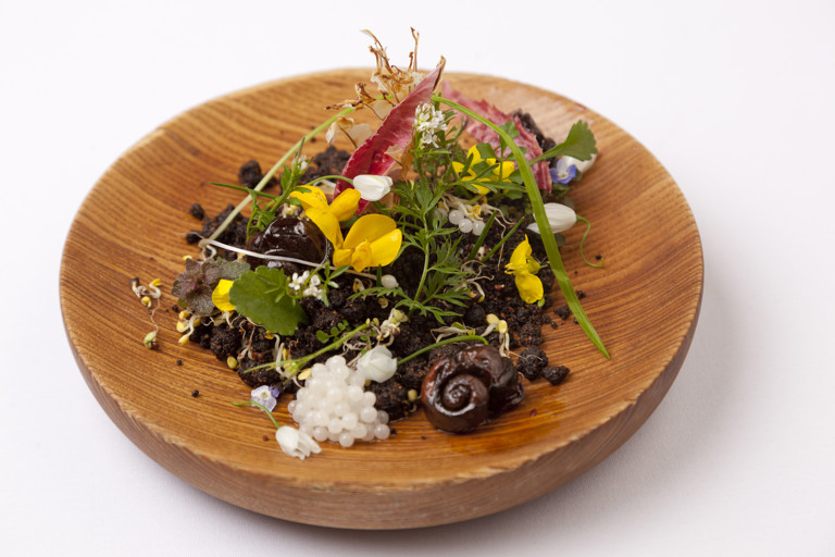 Paris House snail garden