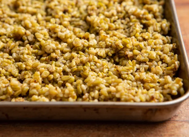 Cooked freekeh on a tray 