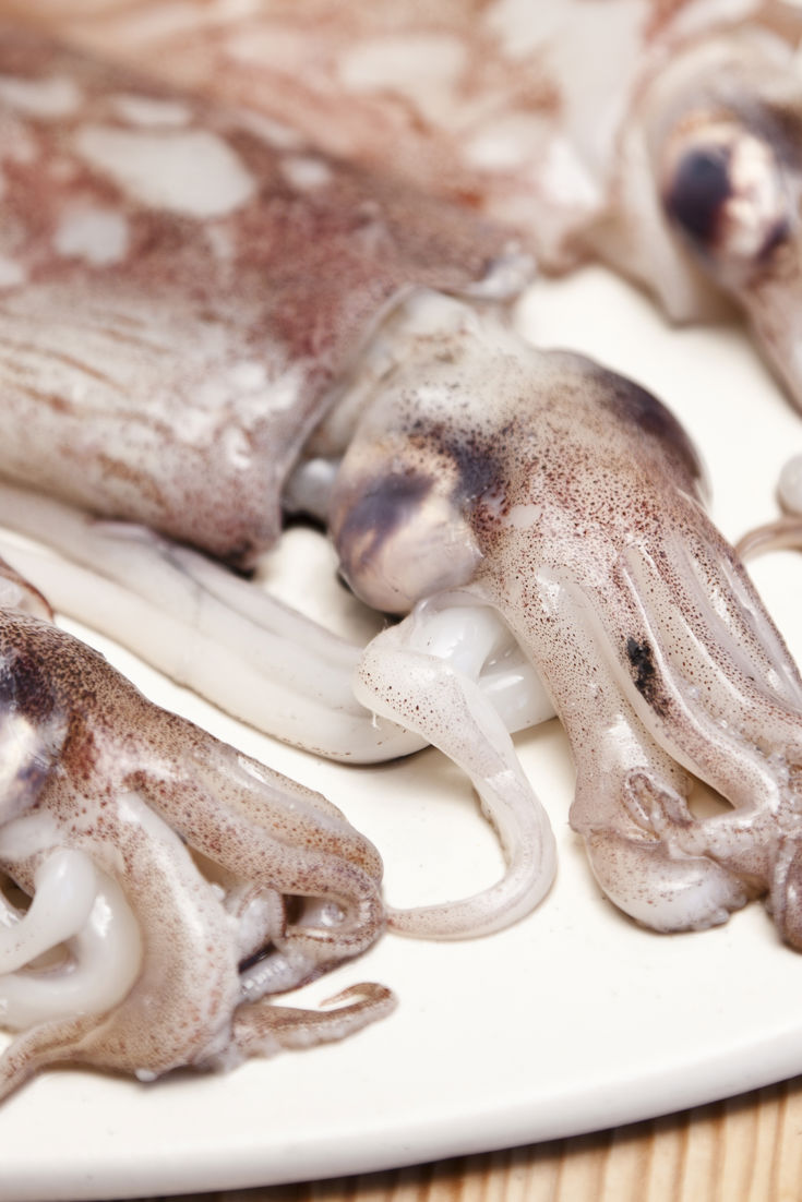 Fresh squid beaks For The Foodie 