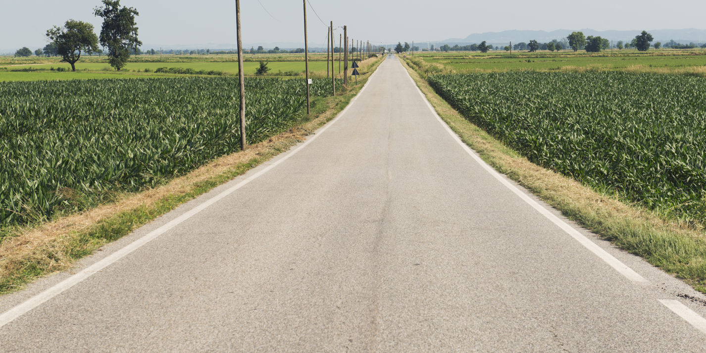 Vercelli's Risotto Rice Fields Great Italian Chefs