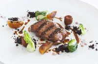 Tandoori duck breast with duck croquettes, apricots and pak choi
