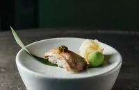 Chūtoro nigiri – medium fatty tuna nigiri