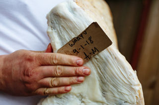 Meat ageing photo story