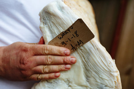 Meat ageing photo story