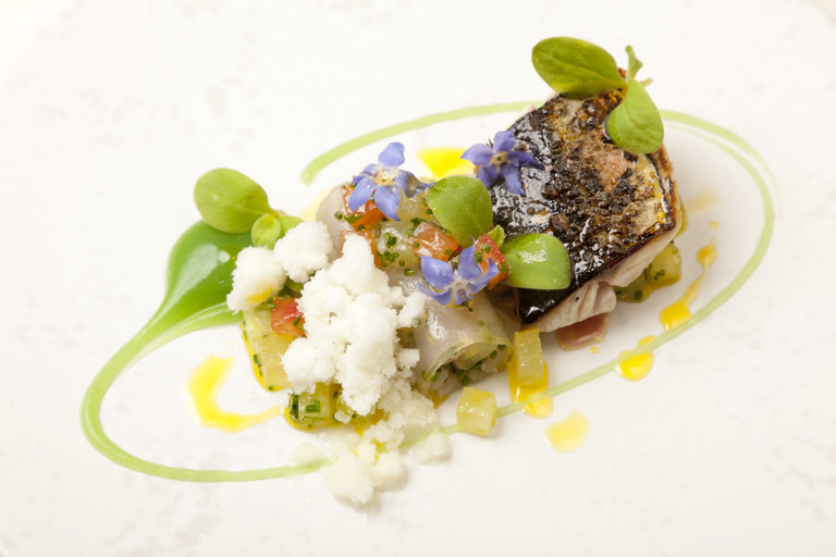 Mackerel, horseradish snow and cucumber purée