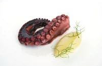Octopus, pink grapefruit and fennel