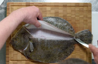 How to fillet a flat fish