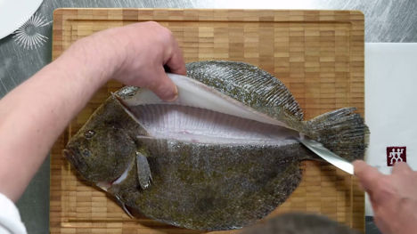 How to fillet a flat fish