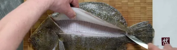 How to fillet a flat fish