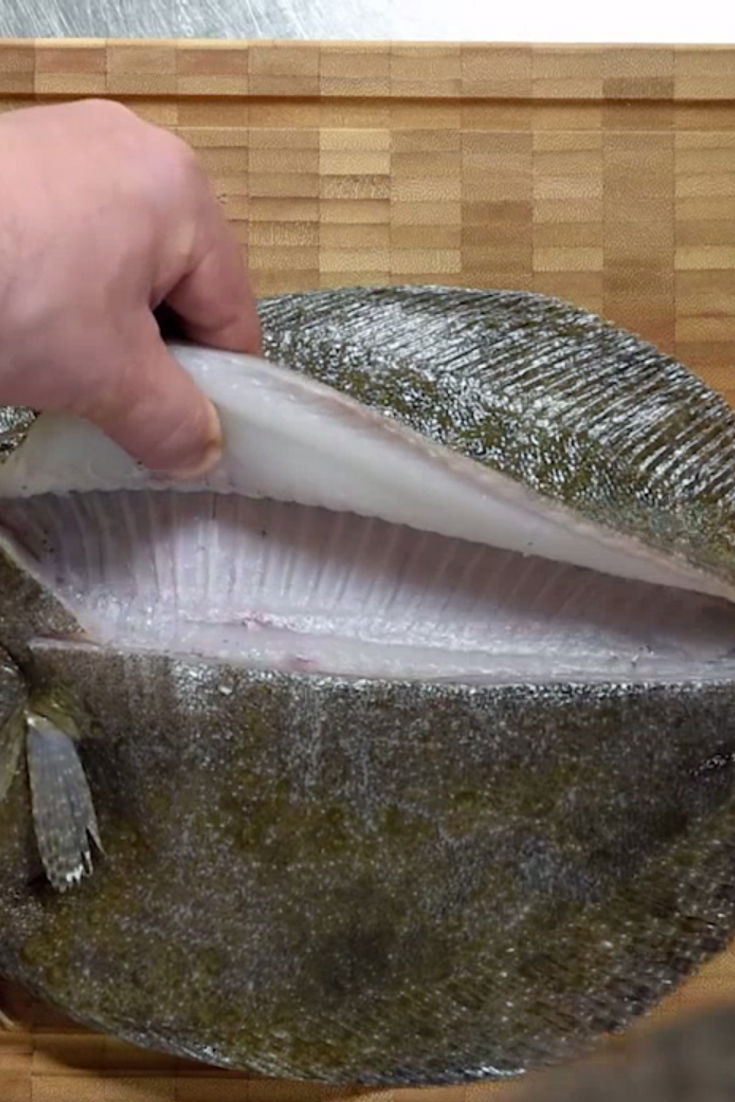 How to Fillet a Flat Fish - Great British Chefs
