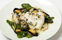 Turbot with mussels, sea vegetables and salsify