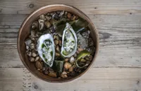 Pickled oysters with wild garlic oil