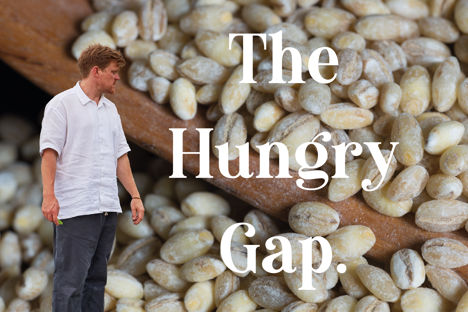 Sam Buckley: on the 'Hungry Gap'