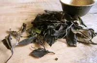 Reading the leaves: the world of exotic tea