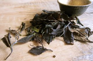 Reading the leaves: the world of exotic tea