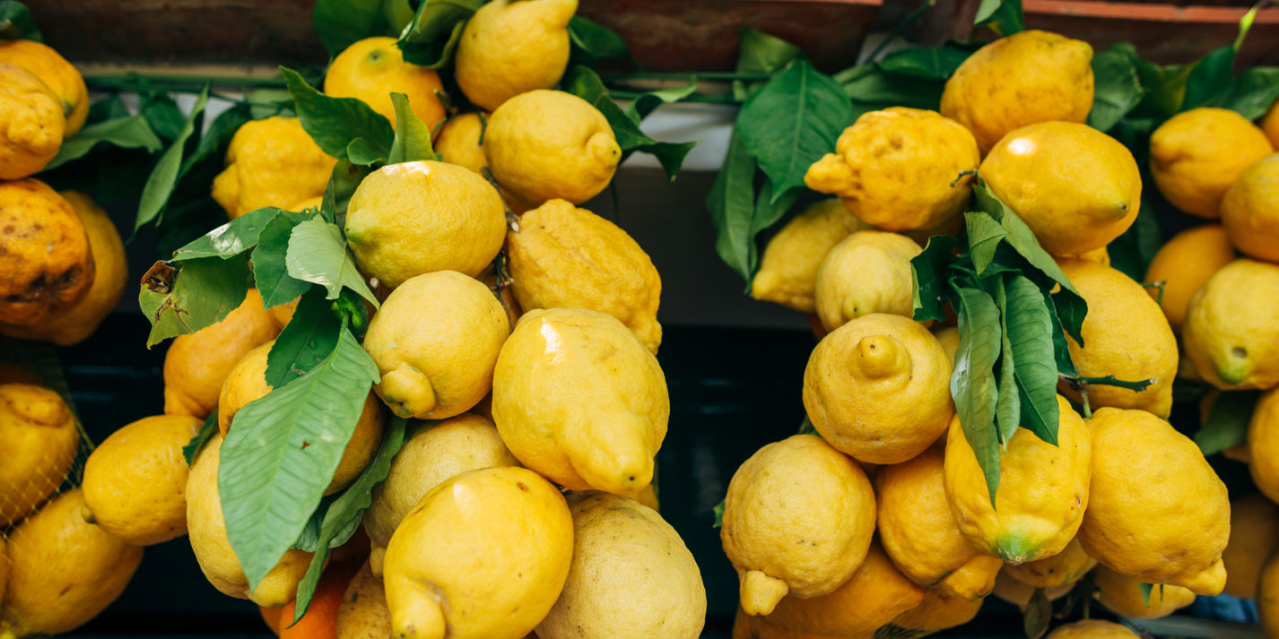 Zesty business: the story of Amalfi lemons - Great Italian Chefs