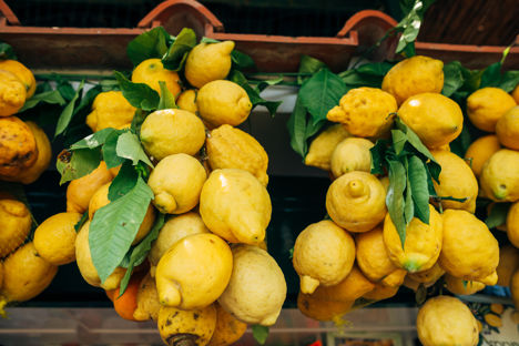 Zesty business: the story of Amalfi lemons
