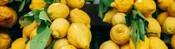 Zesty business: the story of Amalfi lemons
