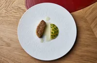 Andignac foie gras with white melon, sansho pepper and lime