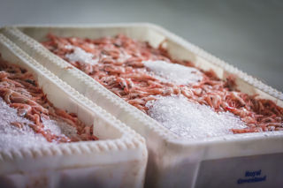 Greenland: home of the coldwater prawn