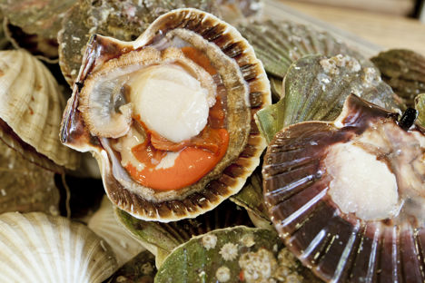 How to cook scallops