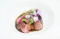 Pigeon with cocoa beans, apricot and artichoke broth