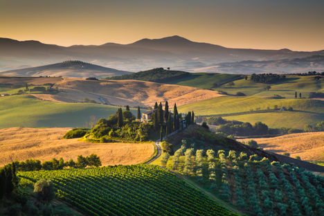 The wines of Tuscany