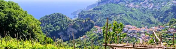 The wines of Campania