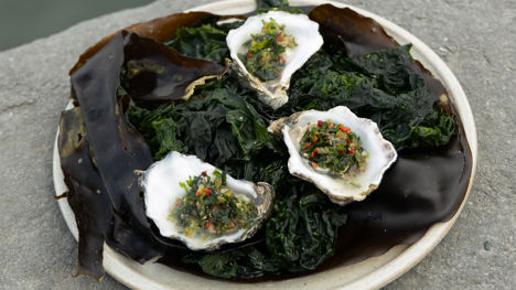 Galway oysters with poitín and seaweed tartare