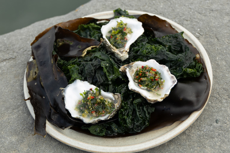 Galway oysters with poitín and seaweed tartare