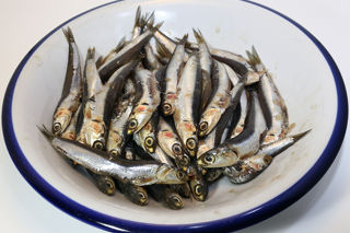 Little fish, big flavour: the anchovies of Italy