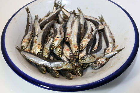 Little fish, big flavour: the anchovies of Italy