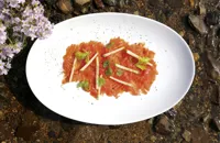 Cured Fjord Trout with coriander, celery, lime and apple salad