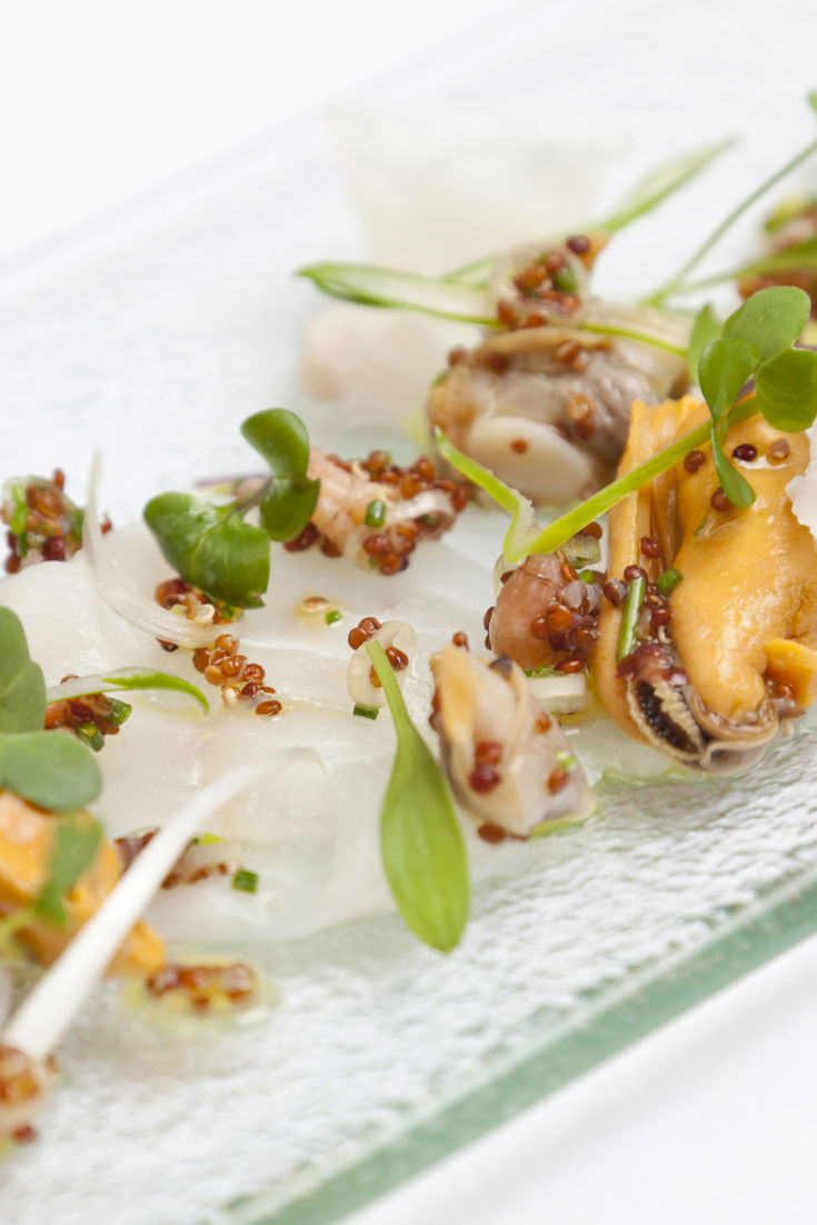 Halibut Ceviche Recipe Great British Chefs