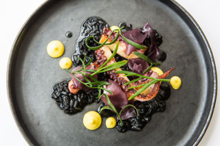 Octopus, ‘black rice’, saffron