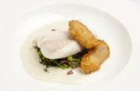 Turbot with oysters, cabbage and bacon