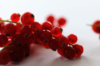Redcurrants
