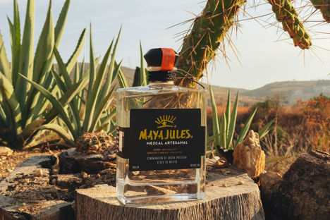 MayaJules mezcal: redefining agave spirits