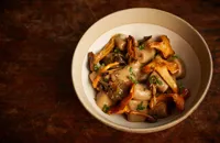 Chestnut gnocchi with mushroom veloute, 